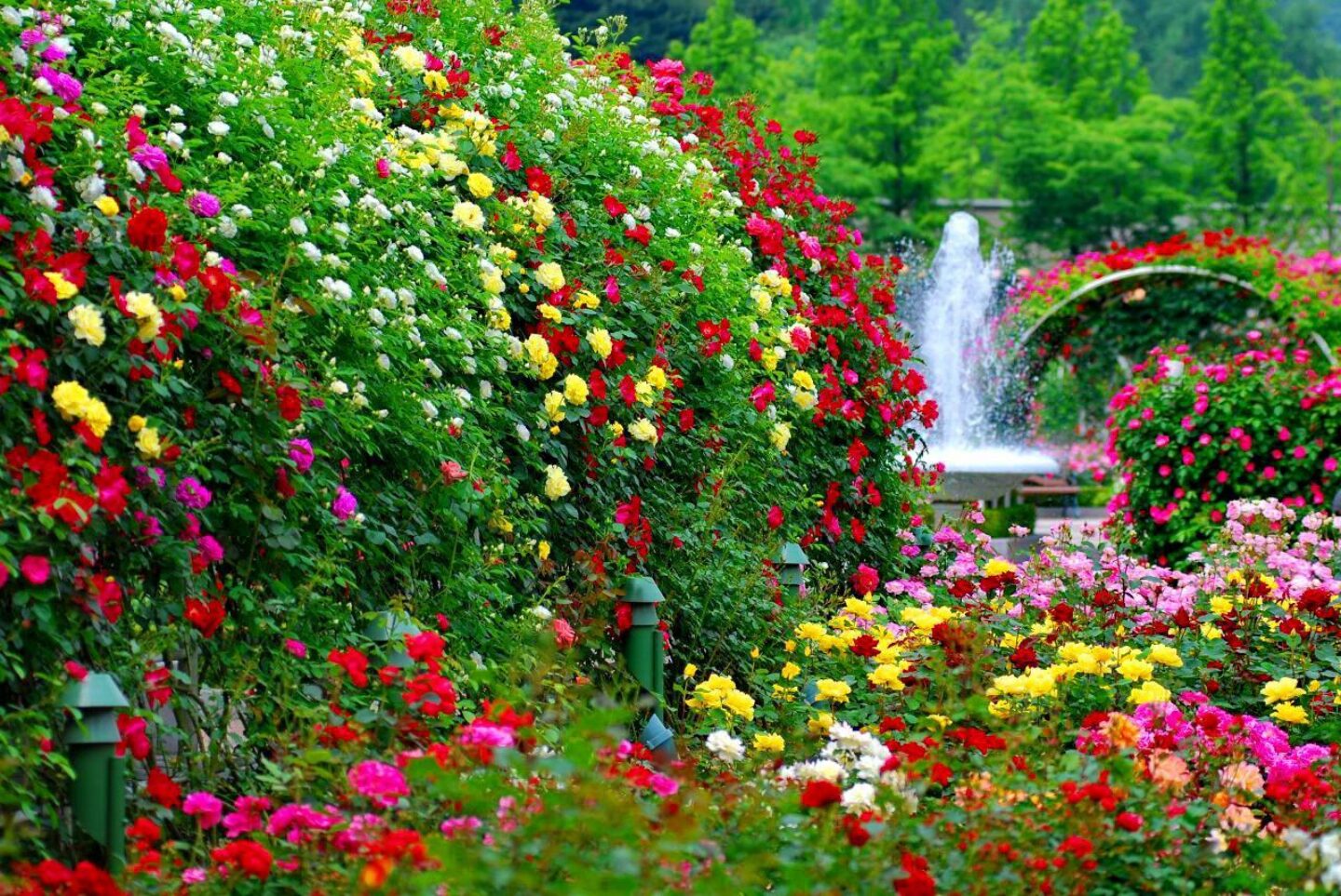 Gardening Club